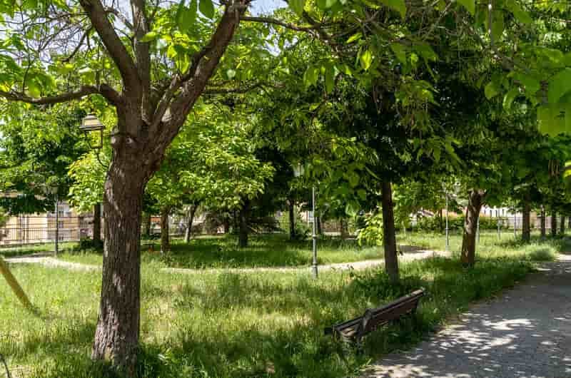 Verde pubblico a Solofra 2
