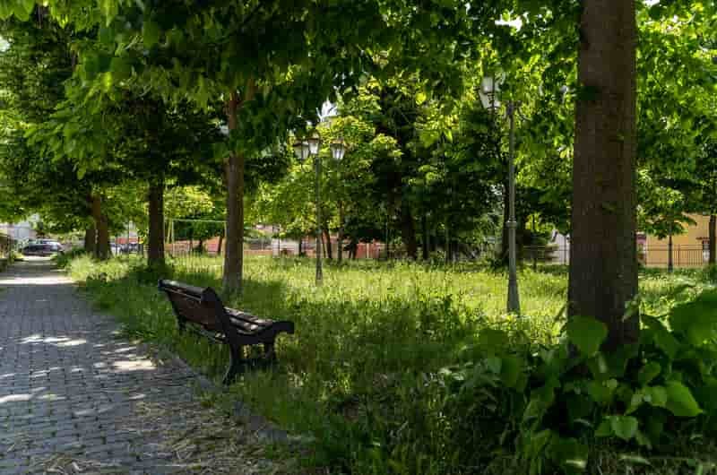Verde pubblico a Solofra 3