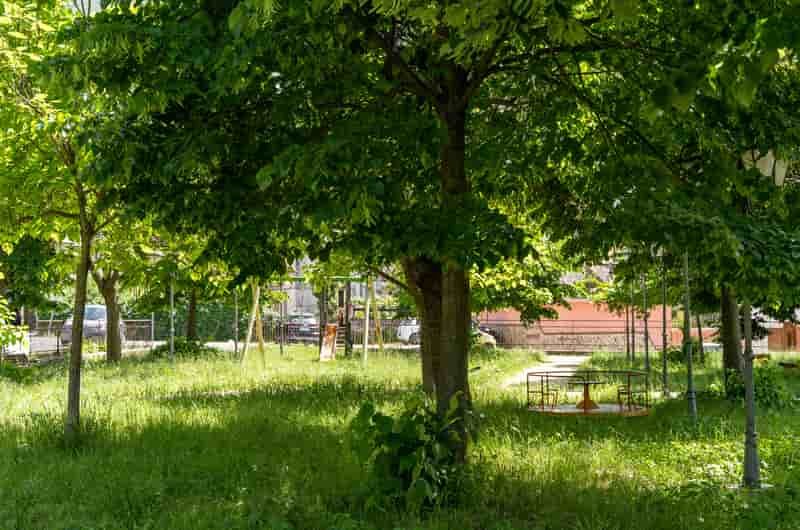 Verde pubblico a Solofra 5